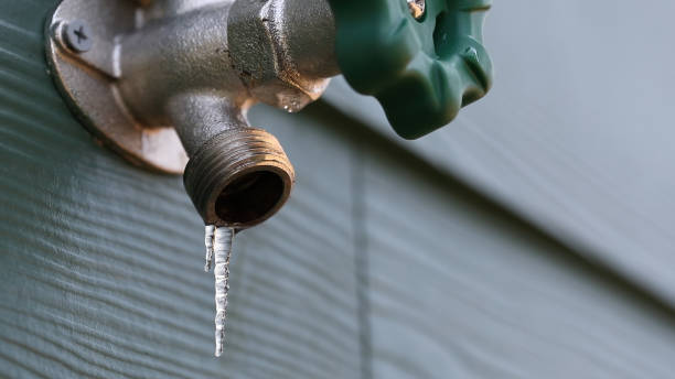 Best Sewer Line Repair  in Wiggins, CO